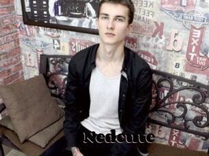 Nedcute
