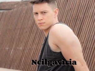 Neilgaviria