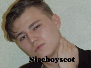 Niceboyscot