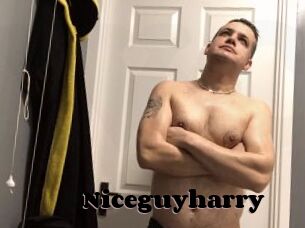 Niceguyharry