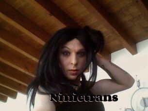 Ninietrans