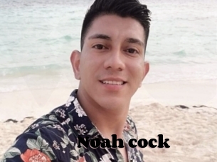 Noah_cock