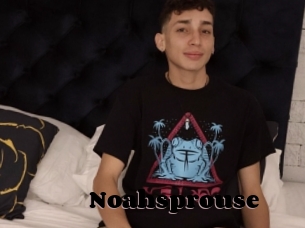 Noahsprouse