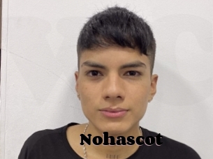 Nohascot