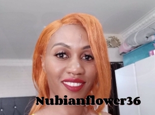 Nubianflower36