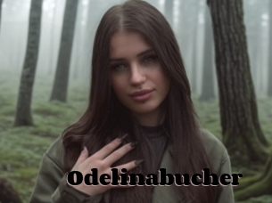 Odelinabucher