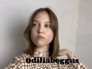 Odiliaboggus