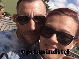 Openmindstel