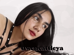 Owencattleya