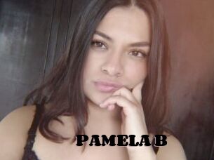 PAMELA_B