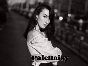 PaleDaisy