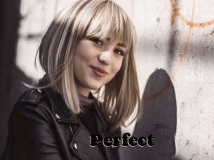 Perfect Webcam Chatcams