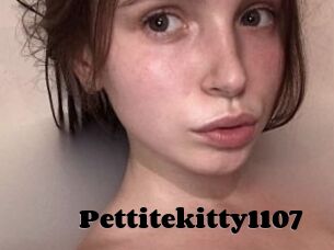 Pettitekitty1107