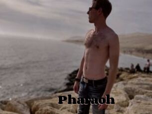 Pharaoh