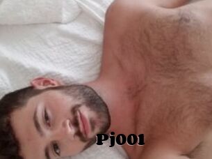 Pj001