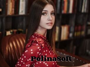 PolinaSoft