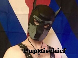 PupMischief