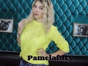 Pamelafury