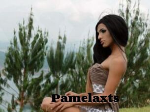 Pamelaxts