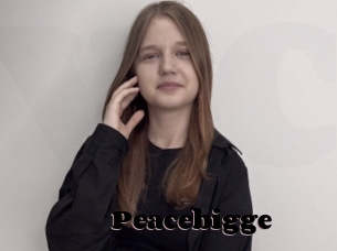 Peacebigge