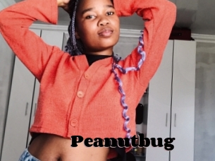 Peanutbug