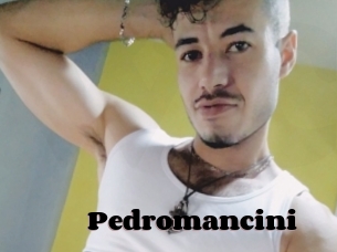Pedromancini