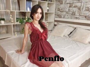 Penflo