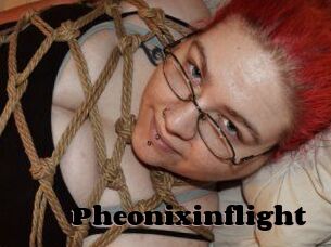 Pheonixinflight