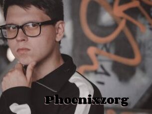 Phoenixzorg