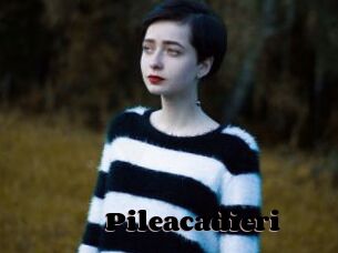 Pileacadieri