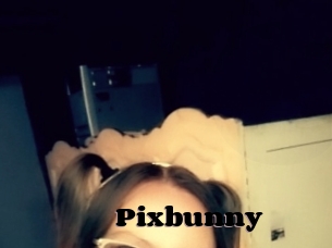 Pixbunny