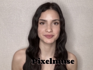 Pixelmuse