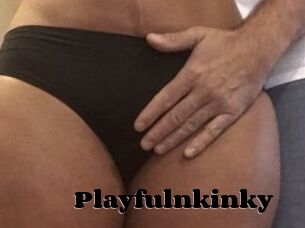 Playfulnkinky