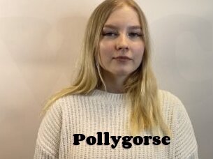 Pollygorse
