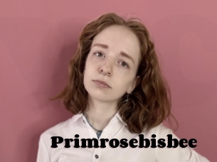Primrosebisbee