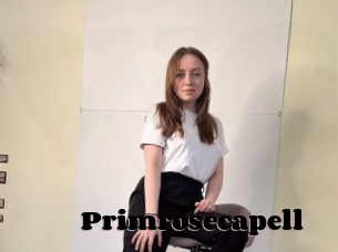 Primrosecapell