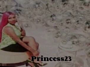 Princess23