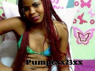 Pumpexx23xx