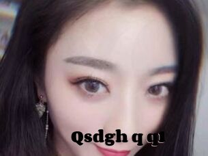 Qsdgh_q_q1