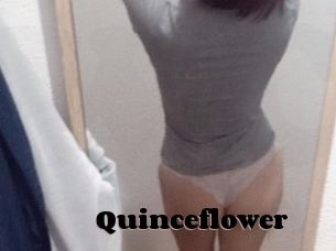 Quinceflower