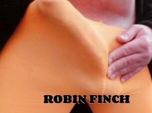 ROBIN_FINCH
