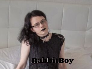 RabbitBoy