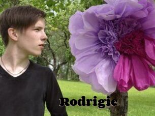 Rodrigie