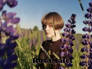 RosaMalet