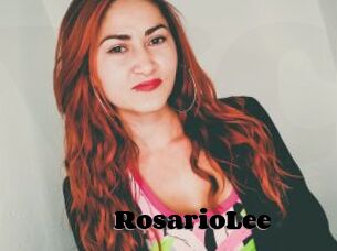 RosarioLee