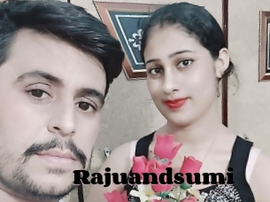 Rajuandsumi