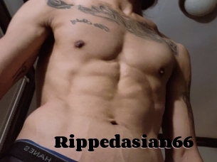 Rippedasian66