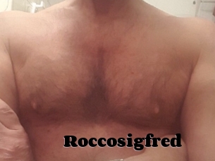 Roccosigfred