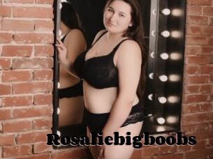 Rosaliebigboobs
