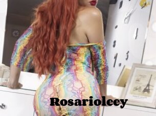 Rosarioleey